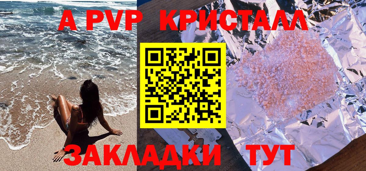 A PVP СК Камышин