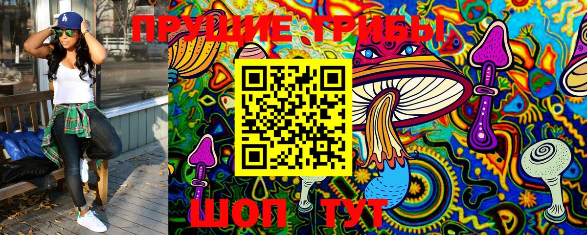 Псилоцибиновые грибы GOLDEN TEACHER Камышин