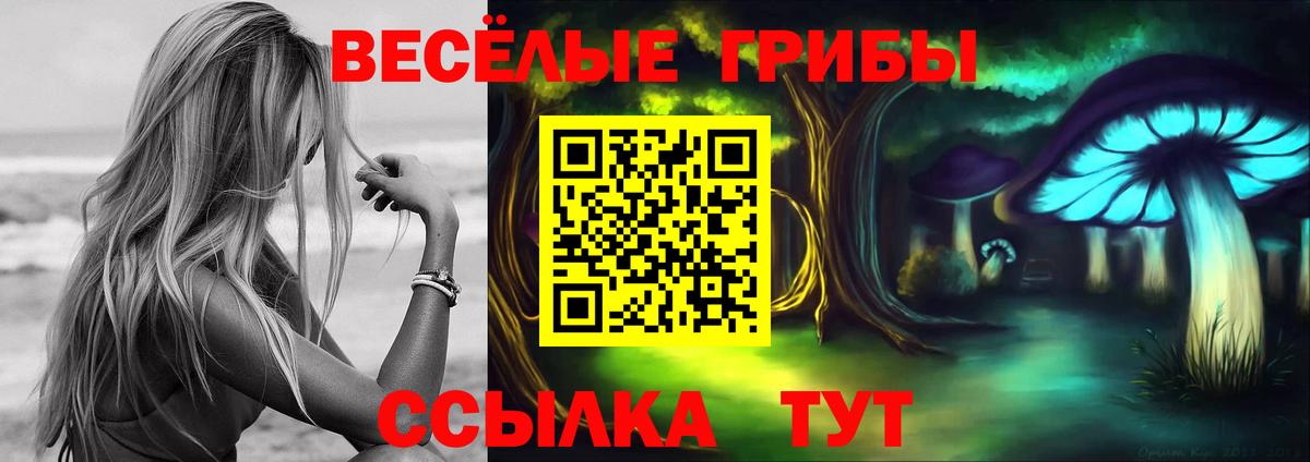 Псилоцибиновые грибы мухоморы  Вход с VPN  где можно купить наркотик  Камышин 